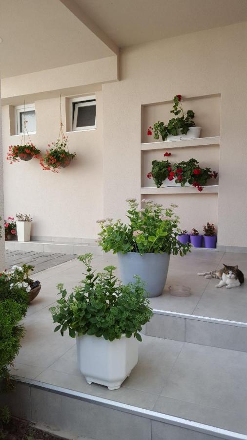 Lovely Private Flats Free Parking Novi Sad Esterno foto