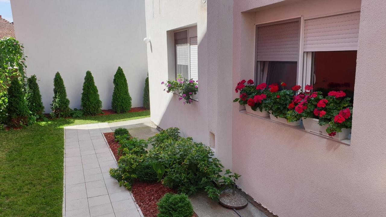 Lovely Private Flats Free Parking Novi Sad Esterno foto
